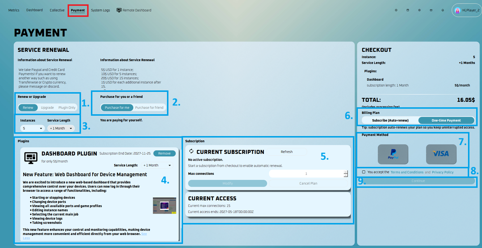 ESB payment page